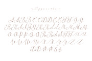 Follow script, a Script Font by Fontop (Thumbnail 7 of 9)