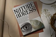 Drivex - Classy & Unique Serif Font, a Serif Font by overlaytemplates (Thumbnail 2 of 5)