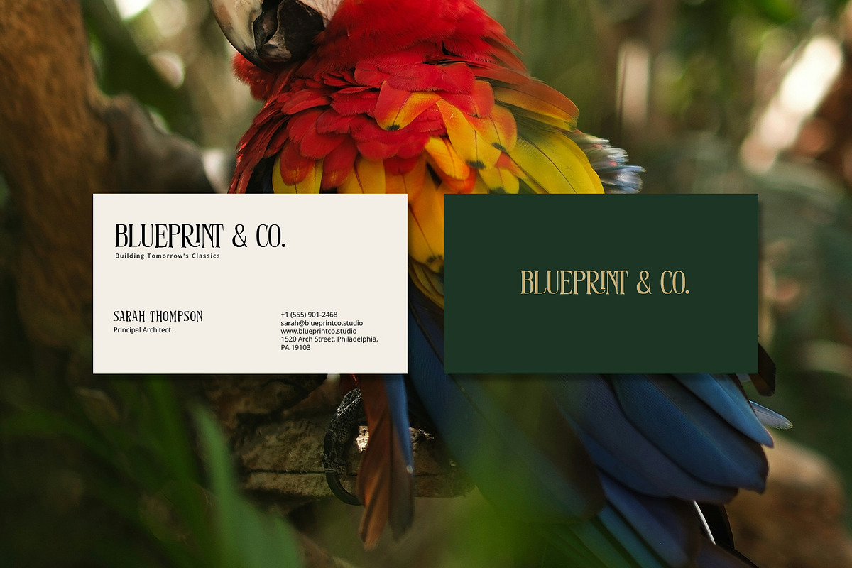 Eastrave, a Serif Font by din-studio.com (Photo 2 of 11)