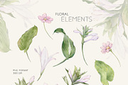 HOSTA watercolor floral set, a Decorative Illustration by Yuliia Lashevska (Thumbnail 9 of 12)