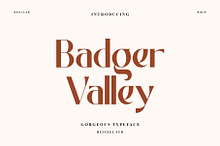 Badger Valley Modern Sans Serif