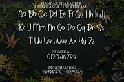 Household, a Script Font by FreshTypeINK (Thumbnail 6 of 8)