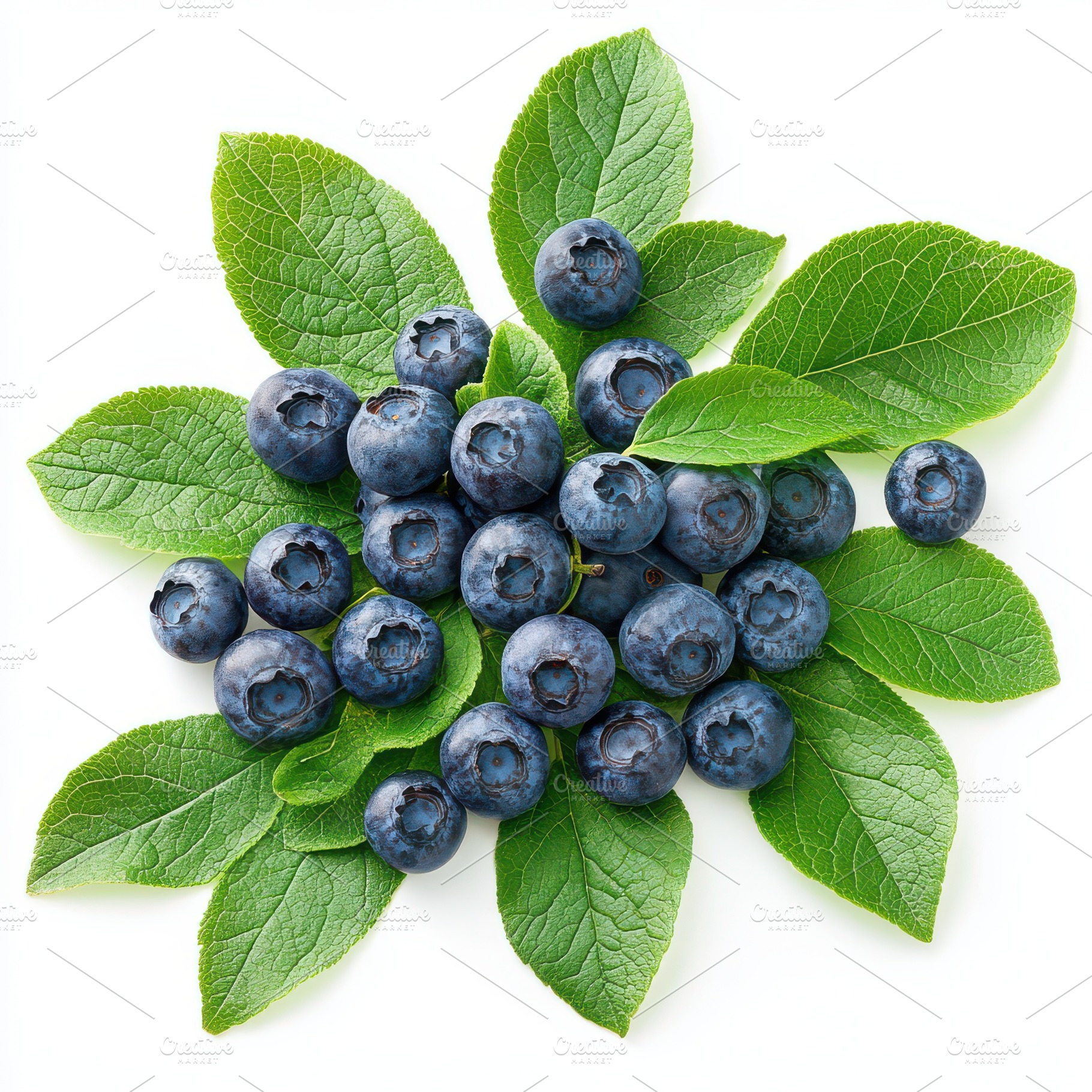 Fresh Blueberries with Green Leaves, a Food & Drink Photo by Pixeness Studio