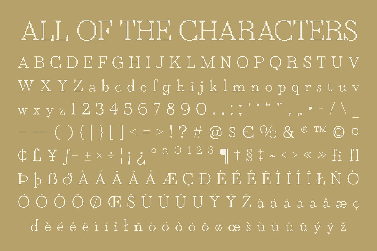 Rivania Disco, a Serif Font by Craft Supply Co. (Photo 8 of 8)