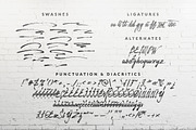 Burelom script, a Script Font by NAUM (Thumbnail 6 of 6)