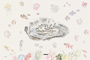 Le Sel: Watercolor Sea Illustrations, a Decorative Illustration by Purple (Thumbnail 4 of 12)
