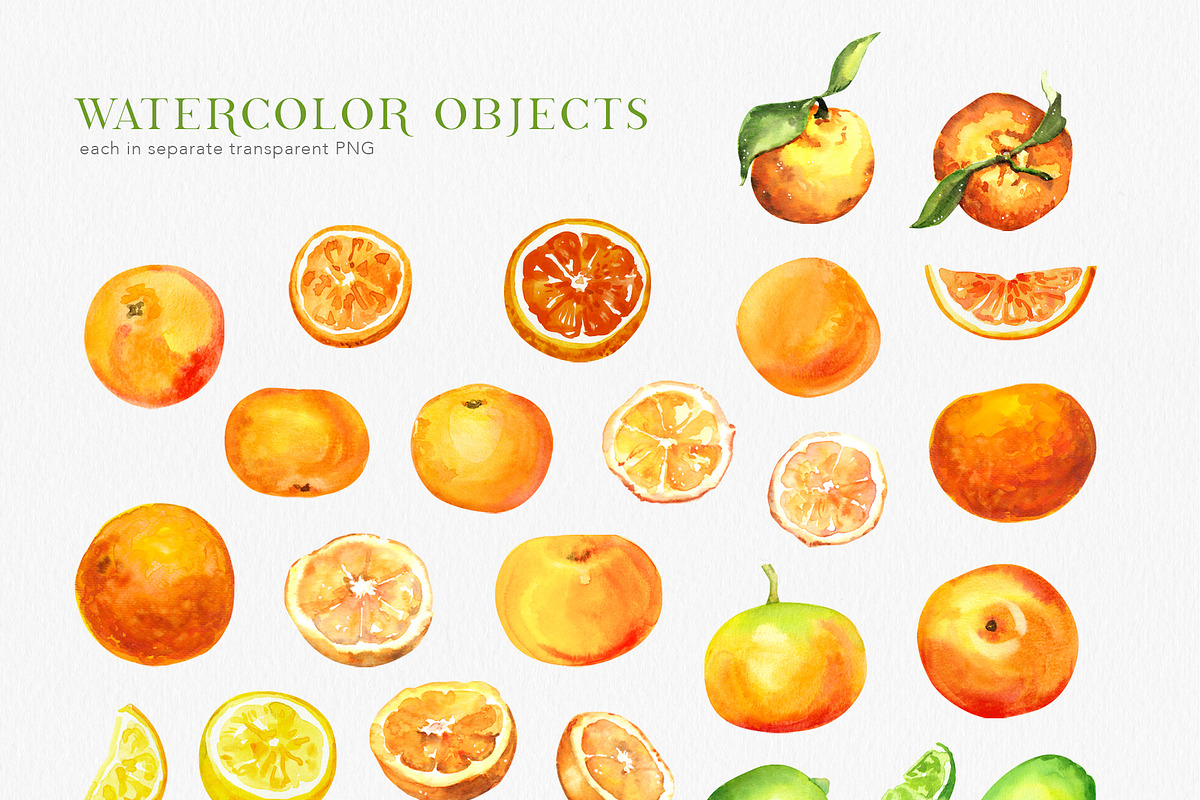 Citrusy Fruits watercolor collection, a Decorative Illustration by Volha Studio (Photo 3 of 10)