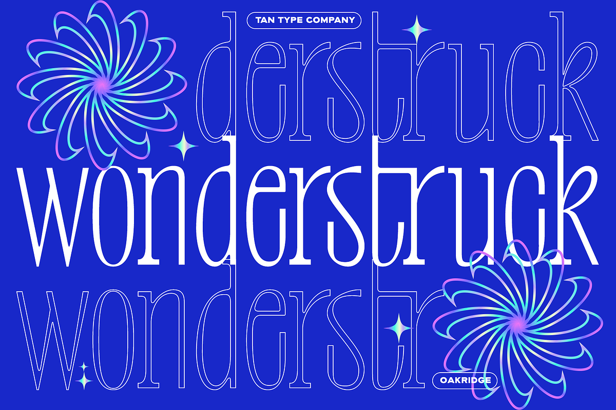 TAN-OAKRIDGE, a Sans Serif Font by TanType (Photo 9 of 10)