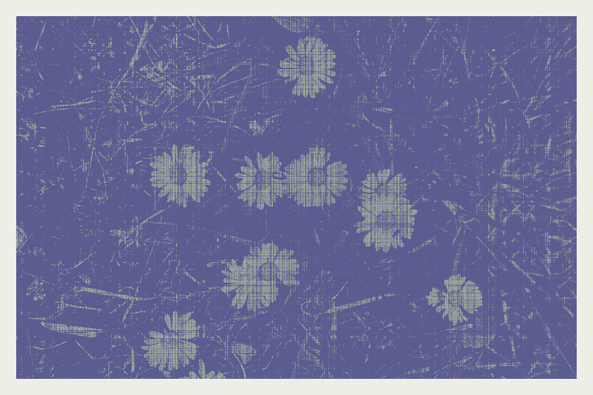 Printed Botanical Graphics, an Object Graphic by Neatly Made Studio (Photo 11 of 17)