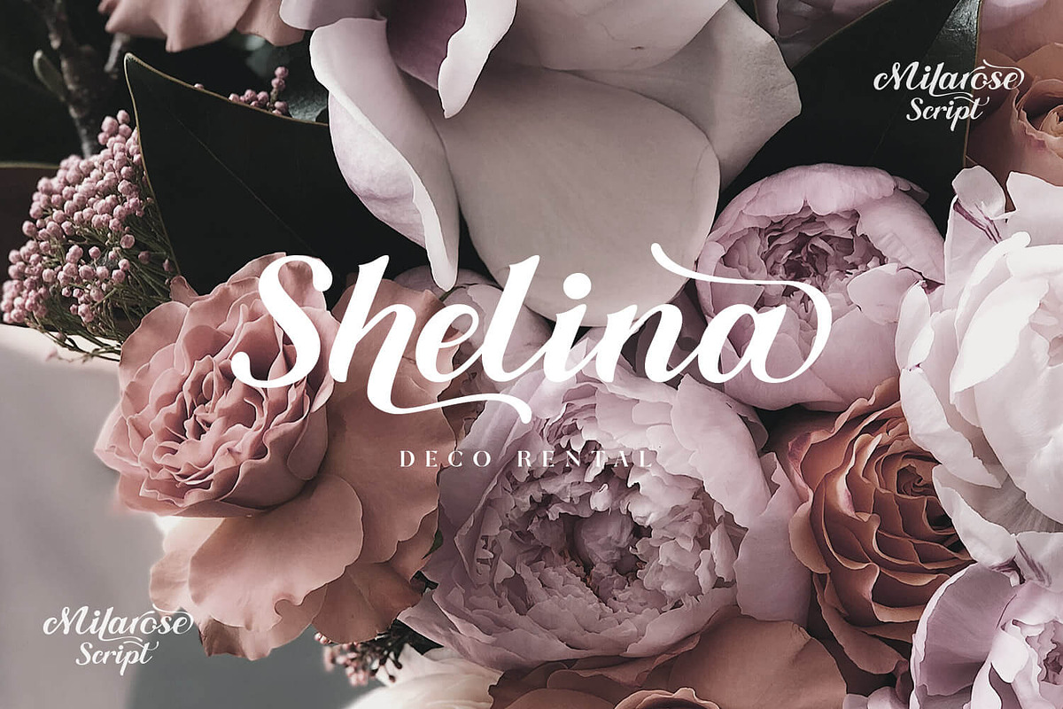 Milarose Script - Romantic Font preview 4