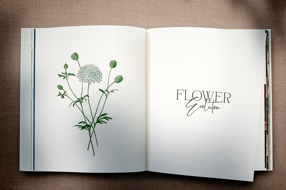 Bonelest | Stylish Ligature, a Script Font by Pentagonistudio (Photo 7 of 10)