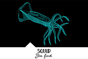 10 vector hand-drawn sea creatures, a Brochure Template by RichmanStudio (Thumbnail 10 of 11)