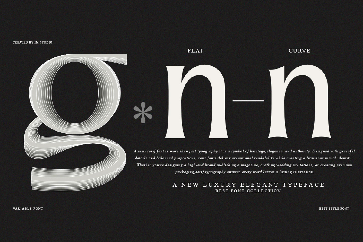 Amilent | 36 Style Font, a Serif Font by IM Studio (Photo 2 of 13)