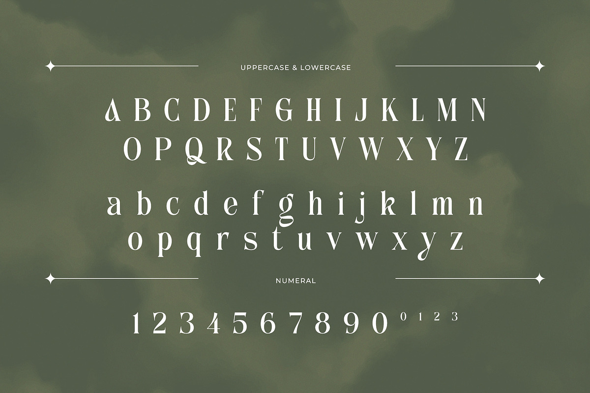 Anchika – Elegant Ligature Serif, a Serif Font by Almeera Std (Photo 7 of 10)