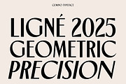 TNSC Gemino - Sans & Serif Typeface, a Serif Font by The Native Saint Club (Thumbnail 4 of 14)