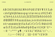 CS Bruna – Contemporary Font, a Serif Font by Craft Supply Co. (Thumbnail 8 of 8)