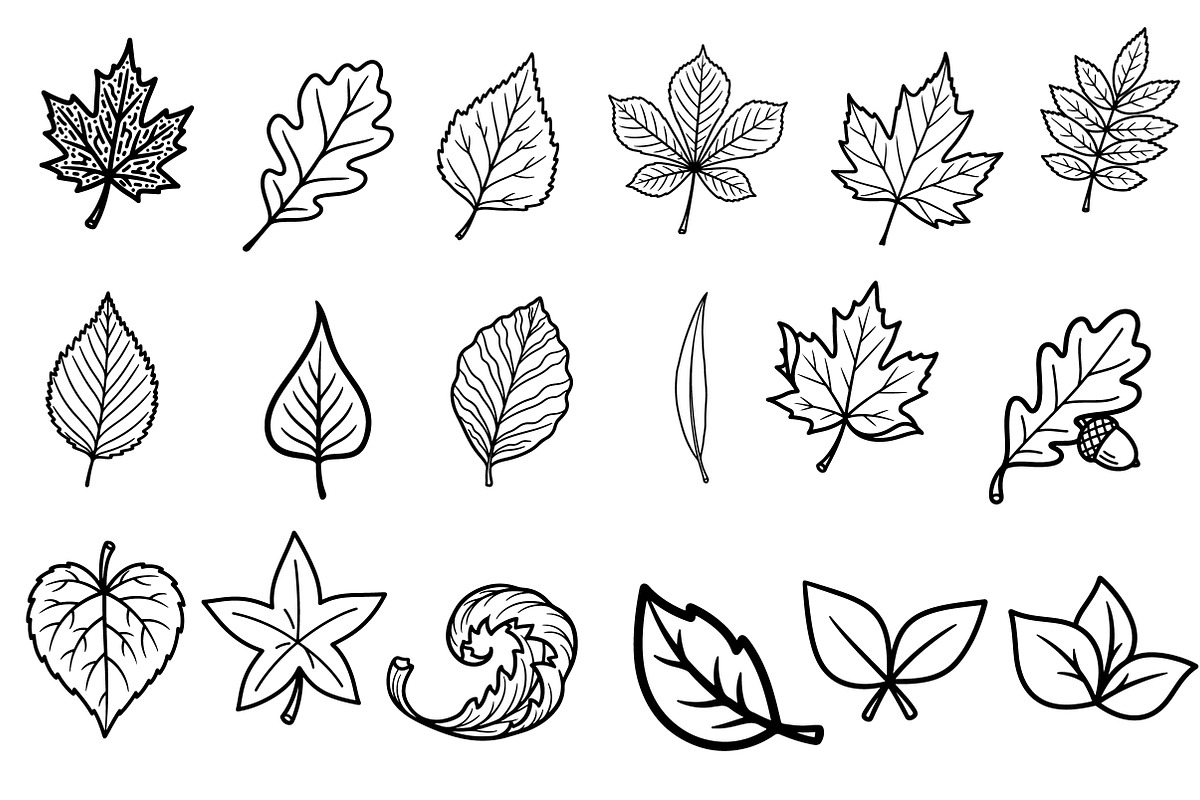 Hand Drawn  Fall Leaves Clipart Bund, an Illustration by Daily.Designs (Photo 2 of 3)