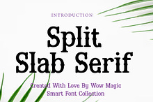 Split Slab Serif