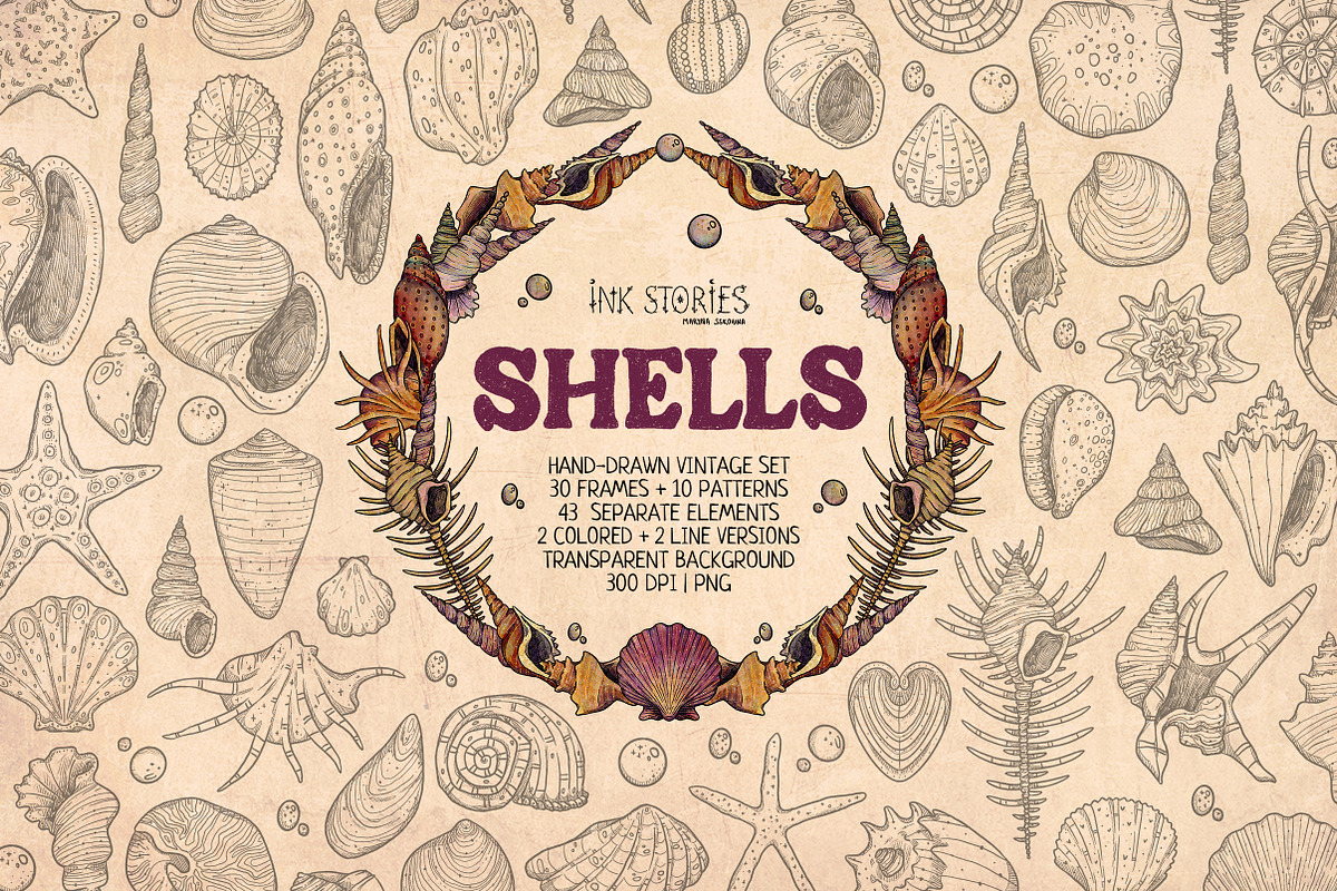 Shells, an Animal Illustration by Ink Stories (Photo 1 of 21)