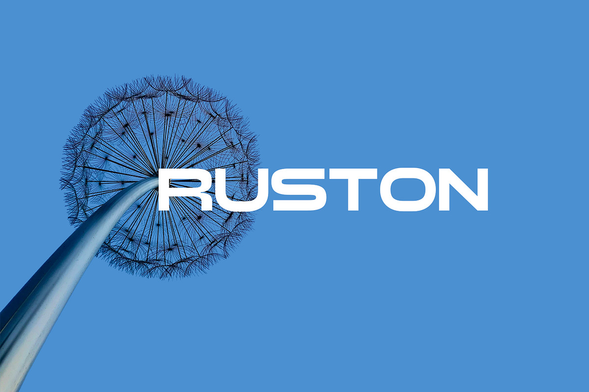 Auston Display, a Sans Serif Font by Foxtype (Photo 1 of 7)
