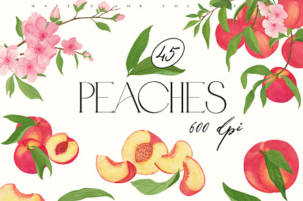 Peaches watercolor collection
