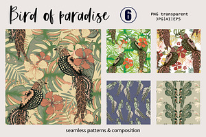 Bird Of Paradise Collection