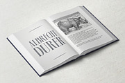 SYNOPSIS typeface, a Serif Font by Fontop (Thumbnail 8 of 11)