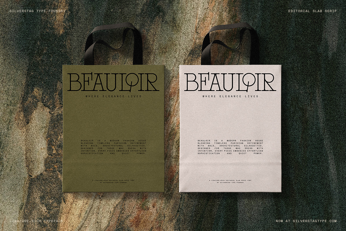 Alorisse – Editorial Ligature Font, a Font by SilverStag Type Foundry (Photo 4 of 20)