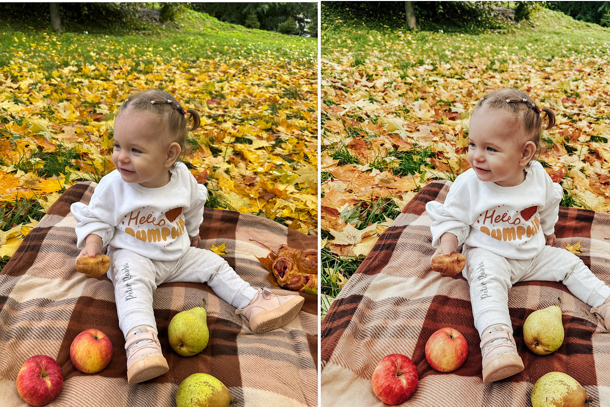 Fall Lightroom Presets Bundle, a Preset Add-On by Victoria Bee Presets (Photo 14 of 17)