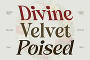 CS Siera – Art Nouveau Font, a Serif Font by Craft Supply Co. (Thumbnail 7 of 8)