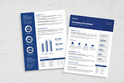 Factsheet Template, a Flyer Template by BrandPacks (Thumbnail 3 of 5)