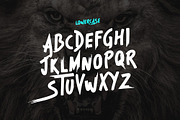 Beast - Brush Font, a Script Font by Tugcu Design Co. (Thumbnail 7 of 8)