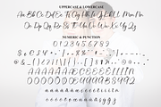 Darling | Script Font, a Handwritten Font by Scratchones (Thumbnail 7 of 9)