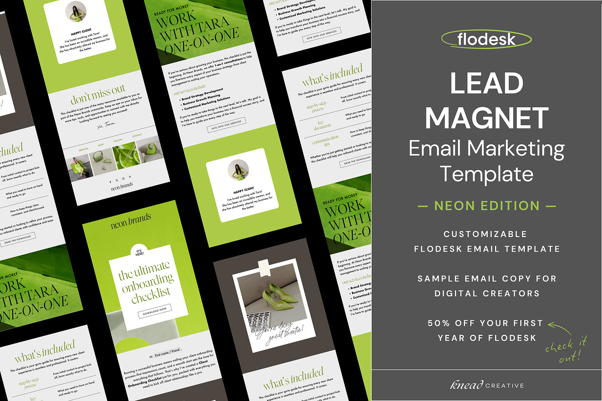 Lead Magnet Flodesk Email Template, an Email Template by Knead Creative (Photo 1 of 6)