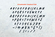 Honest Punch - Quotable Bold Font, a Font by Sarid Ezra (Thumbnail 6 of 11)