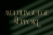 MOONEYES - Modern Serif, a Serif Font by erlosDESIGN (Thumbnail 14 of 15)