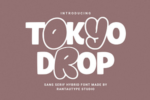 Tokyo Drop Hybrid Sans Serif Font