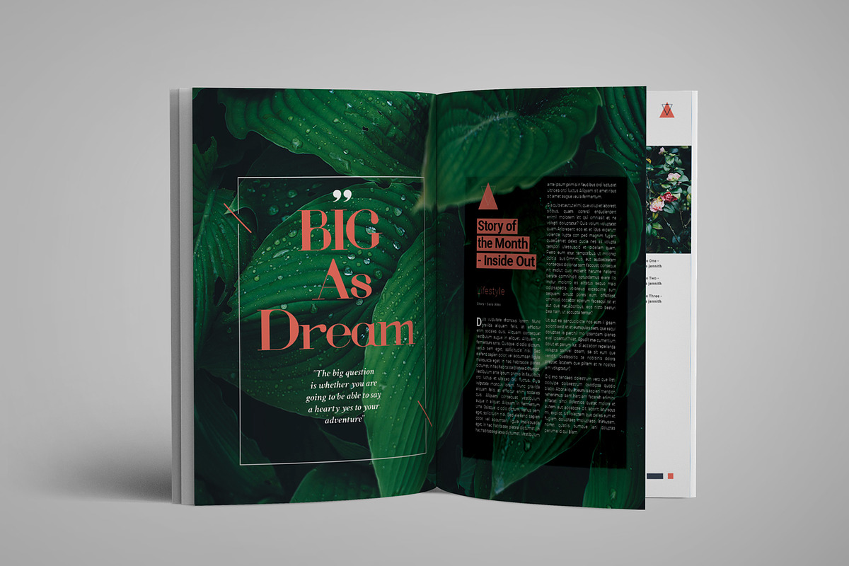 Lieutenant Magazine, a Magazine Template by Elite_Standard (Photo 9 of 14)