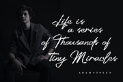 Platinum Signature Font, a Handwritten Font by Burhan Afif (Thumbnail 2 of 9)