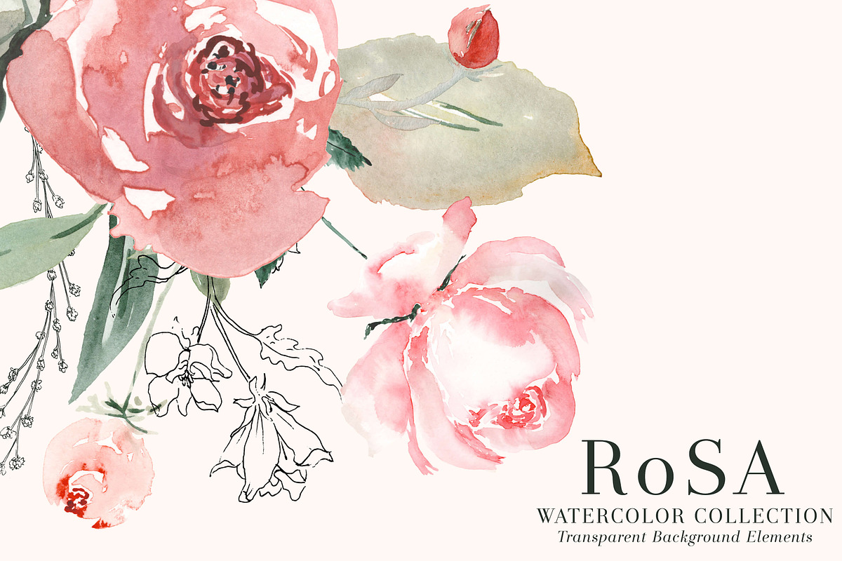 RoSA - Floral Clipart, an Illustration by The Autumn Rabbit Ltd (Photo 7 of 14)