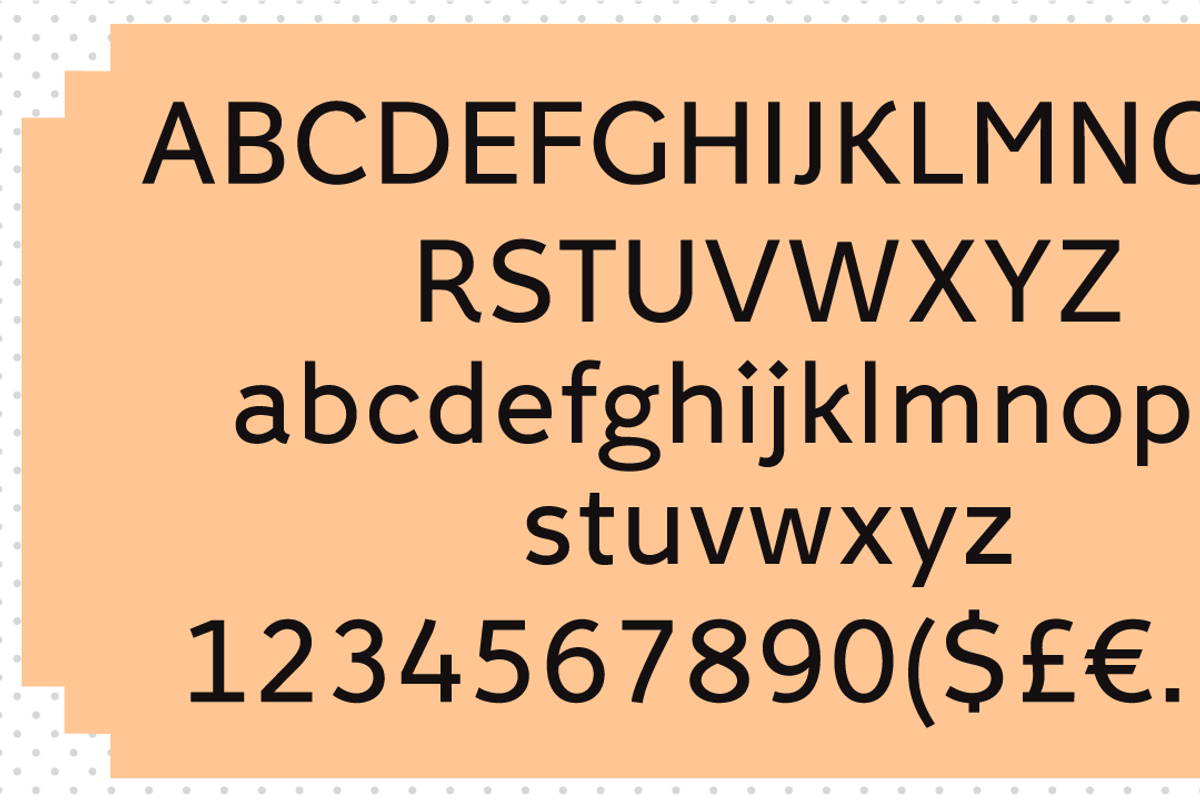 Fox Sans Pro, a Sans Serif Font by TipografiaRamis (Photo 6 of 10)