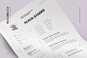 BRONX Resume/CV Template, a Resume Template by Presentations Studio (Thumbnail 8 of 10)