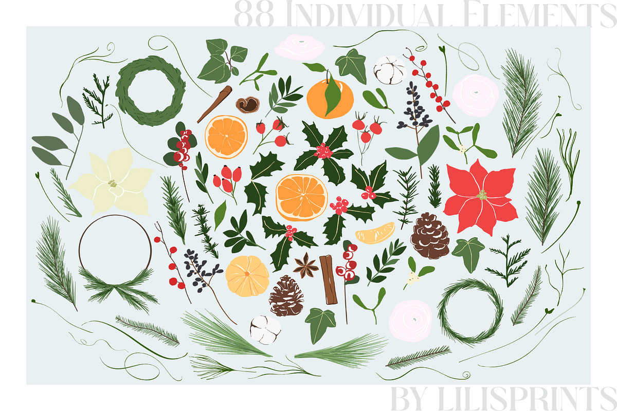 Winter floral clipart collection, an Illustration by lilisprints (Photo 2 of 7)