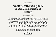Sunday Eighties Font, a Serif Font by HansCo Studio (Thumbnail 14 of 17)