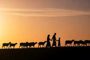 Family walking with sheep at sunset, a Photo by zahidhossainalif
