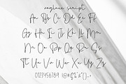 Vogluxe Font Duo, a Sans Serif Font by Glyphminds Studios (Thumbnail 9 of 10)