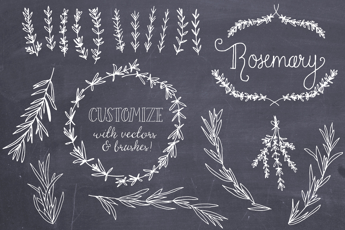 Rosemary Clip Art & Vectors preview 4