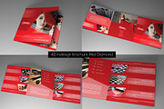 Graphic Templates Bundle Dream, a Brochure Template by RudanStudio (Thumbnail 12 of 52)