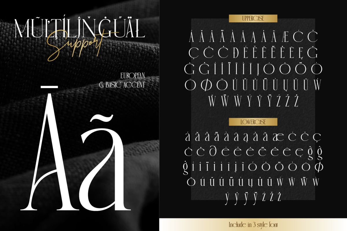Sophan Elegant, a Serif Font by Burntilldead (Photo 11 of 12)