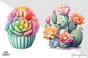 Cactus Watercolor Clipart Png, a Decorative Illustration by danishgraphics (Thumbnail 2 of 6)